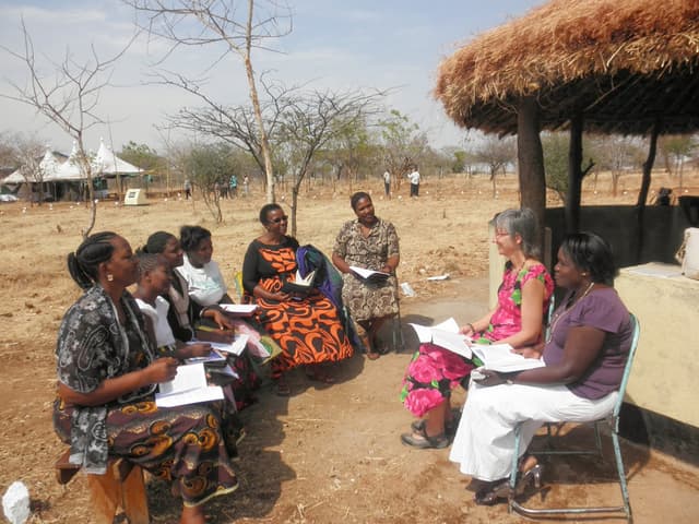 Training & Capacity Building